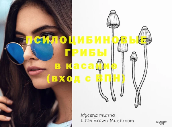марихуана Белокуриха