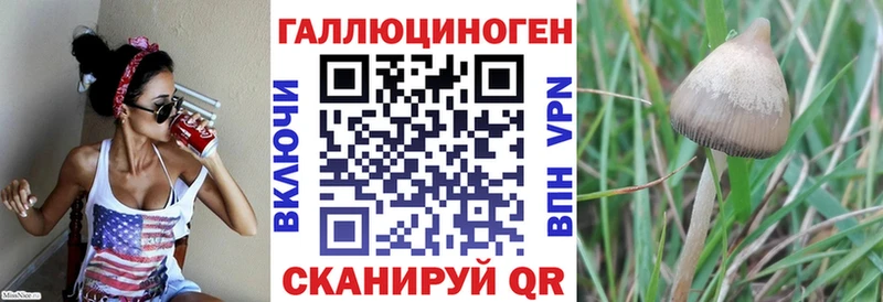 Псилоцибиновые грибы Magic Shrooms  как найти   Краснокаменск 